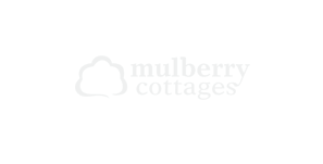Mulberry Mulberry